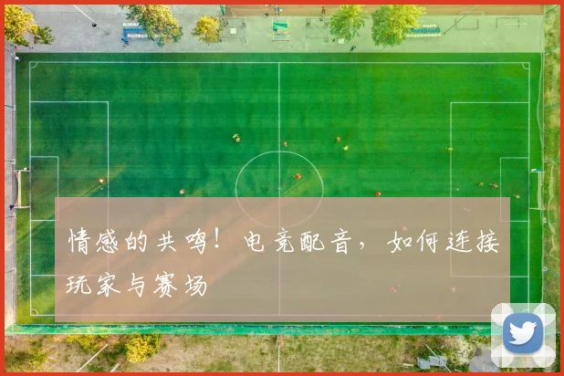 情感的共鸣!电竞配音,如何连接玩家与赛场