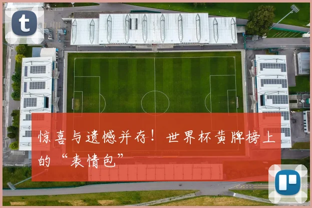 惊喜与遗憾并存!世界杯黄牌榜上的“表情包”