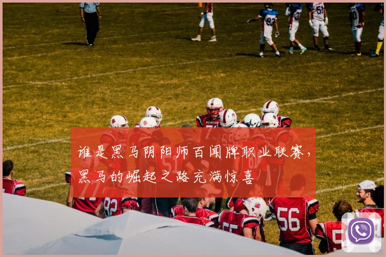谁是黑马阴阳师百闻牌职业联赛，黑马的崛起之路充满惊喜